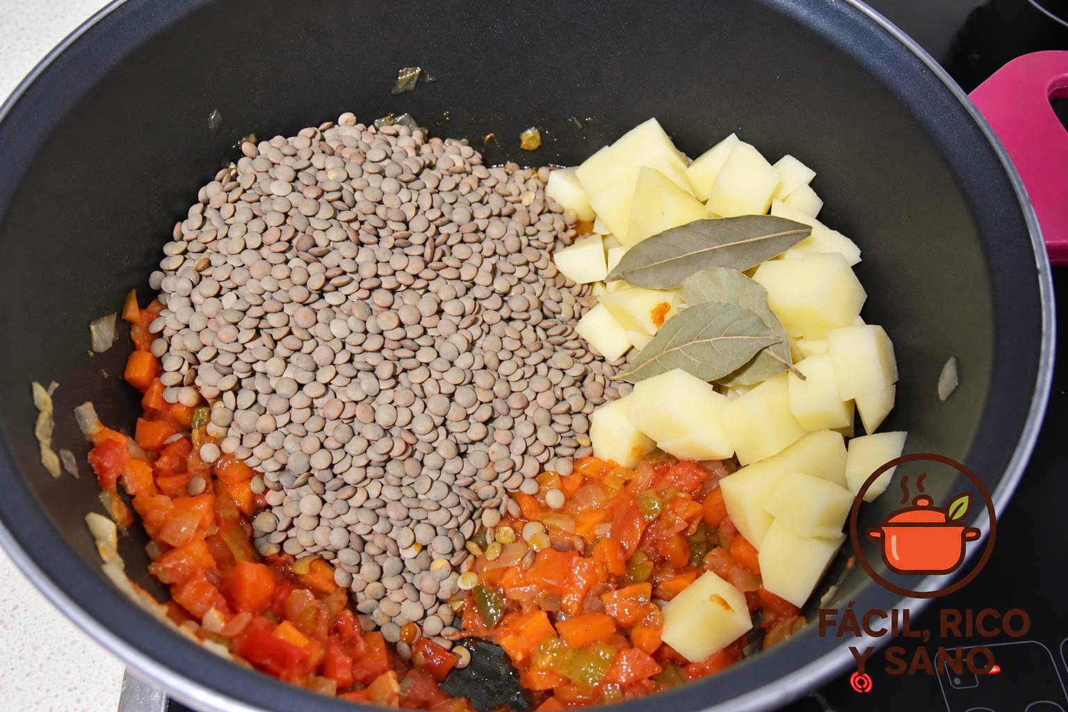 Lentejas pardinas, patata en trozos y hojas de laurel en la olla con el sofrito antes de añadir el agua